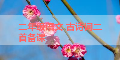 二年级语文 古诗词二首备课 