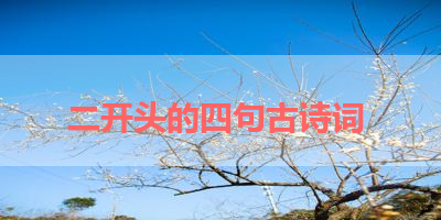 二开头的四句古诗词 