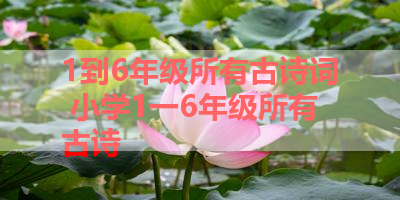 1到6年级所有古诗词 小学1一6年级所有古诗