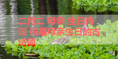 二月二 母亲 生日诗词 祝福母亲生日的古诗词