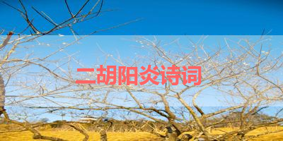 二胡阳炎诗词 