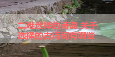 二难选择的诗词 关于选择的古诗词有哪些 