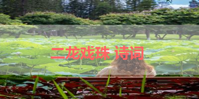 二龙戏珠 诗词 