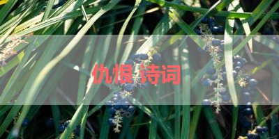 仇恨 诗词 