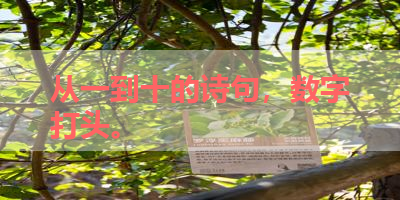 从一到十的诗句，数字打头。 