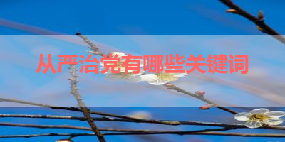 从严治党有哪些关键词 