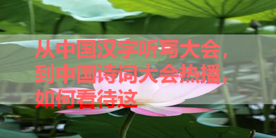 从中国汉字听写大会，到中国诗词大会热播，如何看待这 