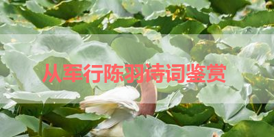 从军行陈羽诗词鉴赏 