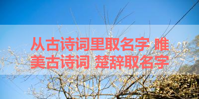 从古诗词里取名字 唯美古诗词 楚辞取名字