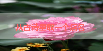 从古诗里取一个店名 