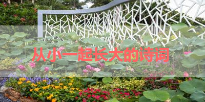 从小一起长大的诗词 