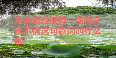 从未试过拥有一生挥霍永不优这句歌词叫什么歌 