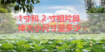 1寸和 2 寸相片具体大小尺寸是多少 - 