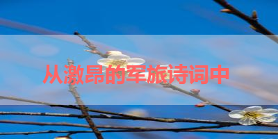 从激昂的军旅诗词中 