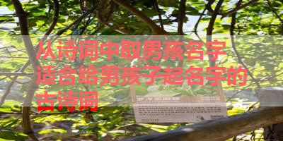 从诗词中取男孩名字 适合给男孩子起名字的古诗词 