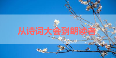从诗词大会到朗读者 