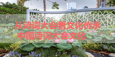 从诗词大会看文化传承 中国诗词大会文化