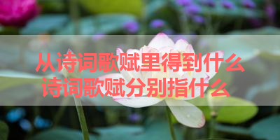 从诗词歌赋里得到什么 诗词歌赋分别指什么