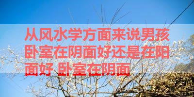 从风水学方面来说男孩卧室在阴面好还是在阳面好 卧室在阴面