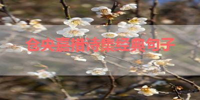 仓央嘉措诗集经典句子 