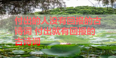 付出的人没有回报的古诗词 付出就有回报的古诗词