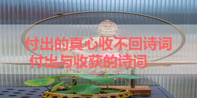 付出的真心收不回诗词 付出与收获的诗词