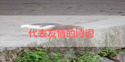 代表友情的诗词 