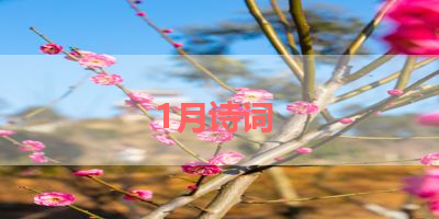 1月诗词 