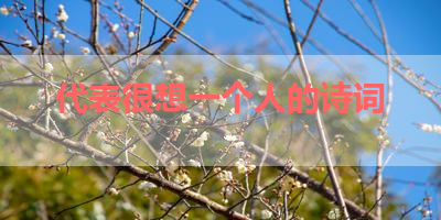 代表很想一个人的诗词 