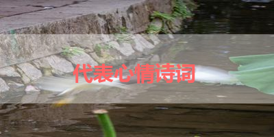 代表心情诗词 