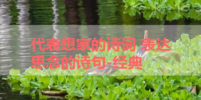 代表想家的诗词 表达思念的诗句-经典 