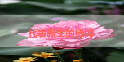 代表新生的诗词 