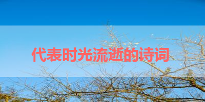 代表时光流逝的诗词 