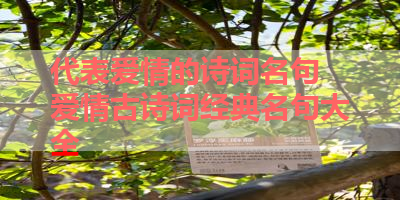 代表爱情的诗词名句 爱情古诗词经典名句大全