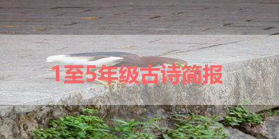 1至5年级古诗简报 