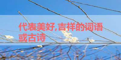 代表美好,吉祥的词语或古诗 