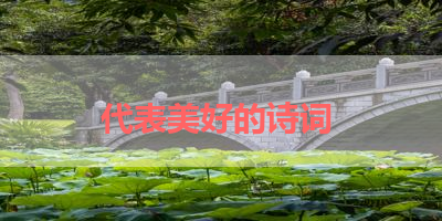 代表美好的诗词 