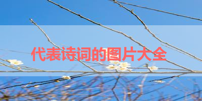 代表诗词的图片大全 