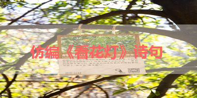 仿编《看花灯》诗句 