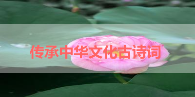 传承中华文化古诗词 