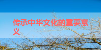 传承中华文化的重要意义 