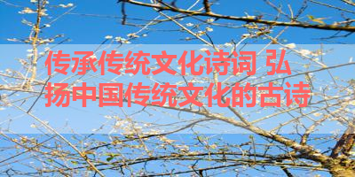 传承传统文化诗词 弘扬中国传统文化的古诗 