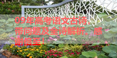 09年高考语文古诗，带问题及全诗解析。感谢倍至！ 