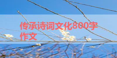 传承诗词文化800字作文 