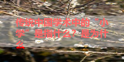 传统中国学术中的“小学”是指什么？是为什么 