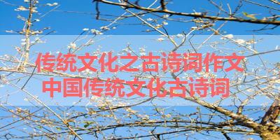 传统文化之古诗词作文 中国传统文化古诗词