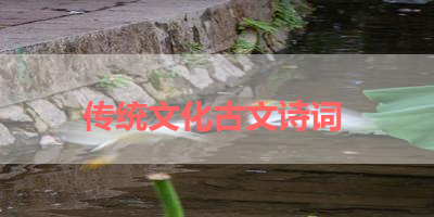 传统文化古文诗词 
