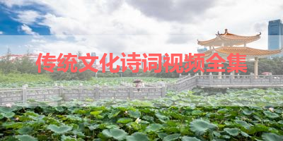传统文化诗词视频全集 
