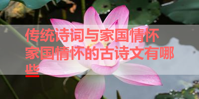 传统诗词与家国情怀 家国情怀的古诗文有哪些 