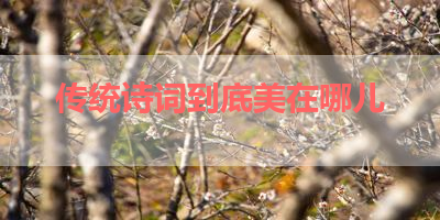 传统诗词到底美在哪儿 